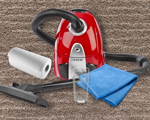 Terry towels or absorbent towels A cup of warm water, Paper towels Vacuum cleaner